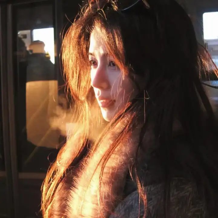 敌对同谋